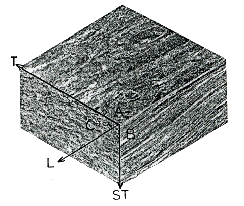 Grain direction in Ti-6Al-4V 